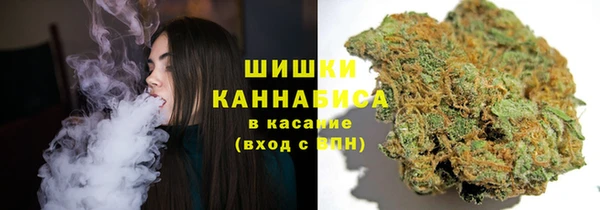 трава Зеленокумск