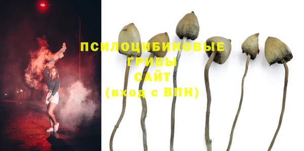 ешки Зеленодольск