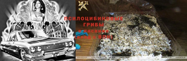 трава Зеленокумск