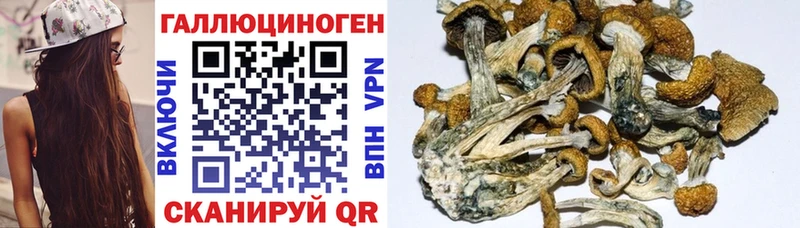 Галлюциногенные грибы прущие грибы  Купить где  Энем 